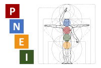 PNEI Kursreihe - Psycho Neuro Endokrino Immunologie